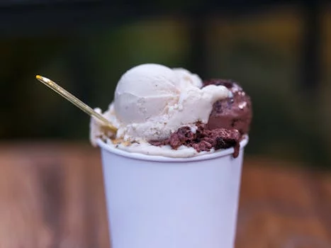 vanilla ice cream scoop with chocolate chips